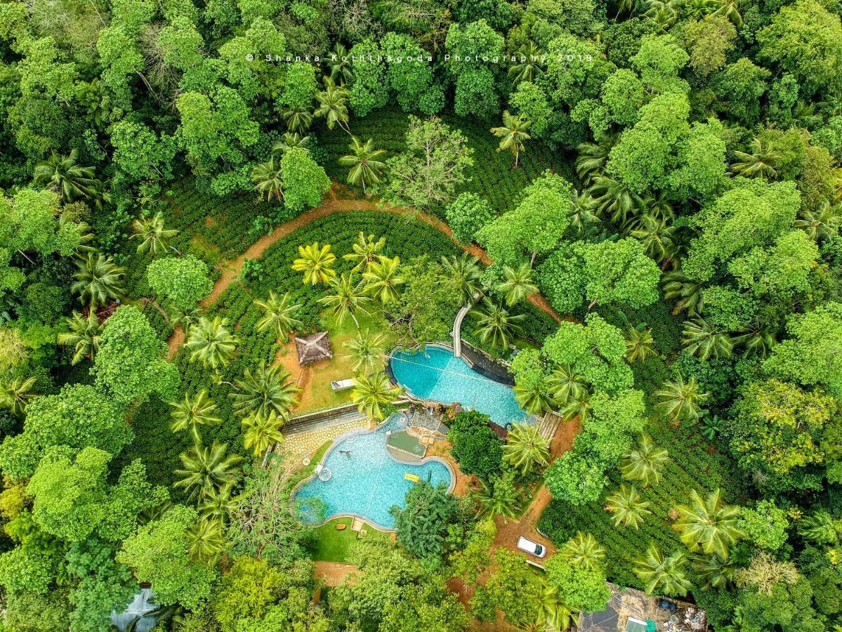 مبيت وإفطار كالي Leisure Land المظهر الخارجي الصورة